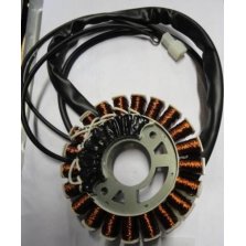 Статор  Генератора IGG1000