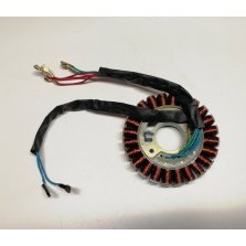 Статор  Генератора IGG950