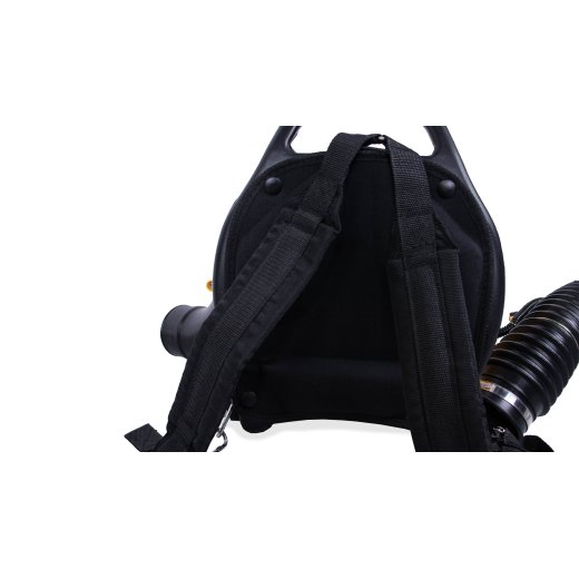 Изображение Бензиновая воздуходувка Champion GBR333