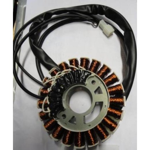Статор  Генератора IGG1000