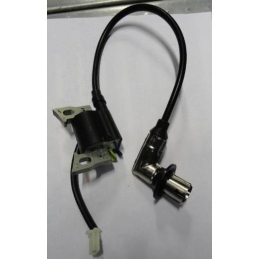 Магнето  Генератора IGG1000