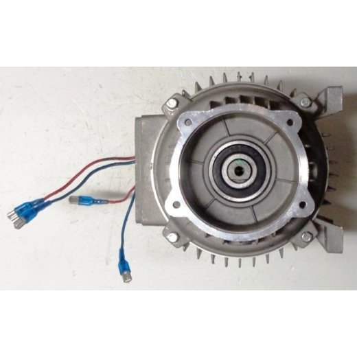 Электродвигатель  мойки HP6171