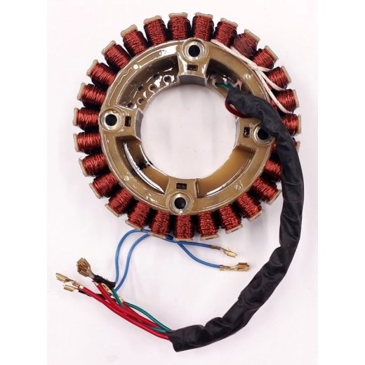 Статор  Генератора IGG3600