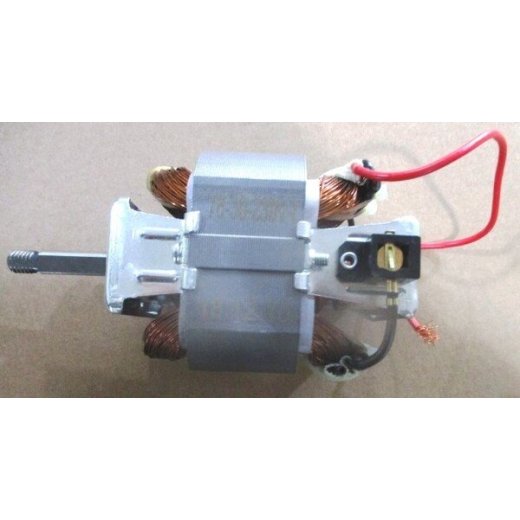 Электродвигатель воздуходувки EB1000