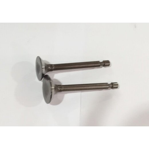 Клапан ST246 комплект 2 шт замена на 01201000140004 + 01201000130004. Замена для арт. 500550034-0001.